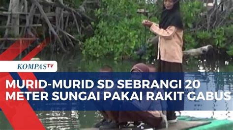 Perjuangan Siswa Sd Di Luwu Sebrangi Sungai Pakai Rakit Gabus Untuk