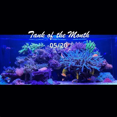 Tank Of The Month Totm May Ghl Advanced Technology