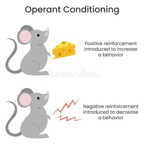 Operant Conditioning Stock Illustrations – 19 Operant Conditioning Stock Illustrations, Vectors ...