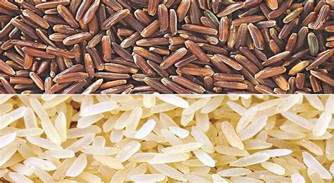 Can Rice Help You Lose Weight