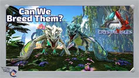 Tropical Wyvern Taming Breeding Ark Crystal Isles Youtube