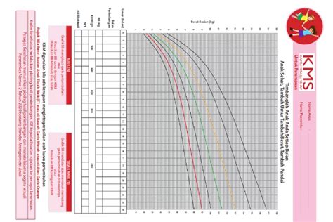 Cara Membaca Grafik Pertumbuhan Anak Di Buku KIA Urban Bogor