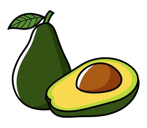 Premium Vector Graphic Illustration Of Avocado Graphic Illustration