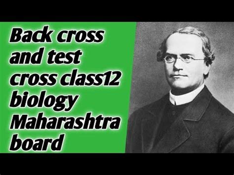 Back Cross And Test Cross Class Inheritance And Variation Back And