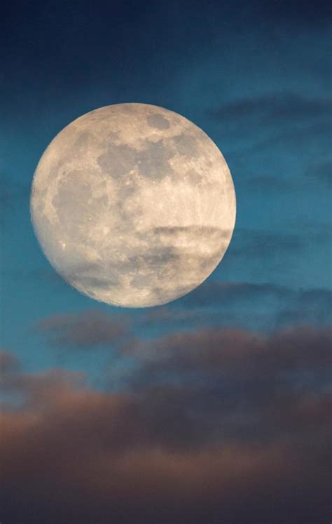 Superluna De Julio Qu Es La Luna De Ciervo Y Por Qu Se Llama As