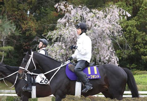 【天皇賞・春】「がんばれプボ」snsで人気ディープボンド、大久保師「思いは“馬一倍”強い」 ケイバラプソディー 競馬コラム 日刊スポーツ