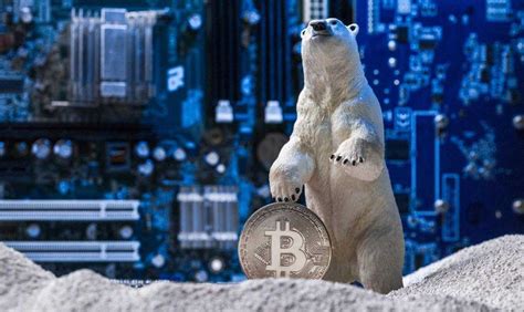 O Inverno Das Criptomoedas E A Dura Realidade Suas Li Es E