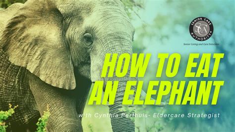 How To Eat An Elephant Youtube