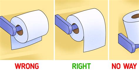 toilet paper correctly  minute crafts