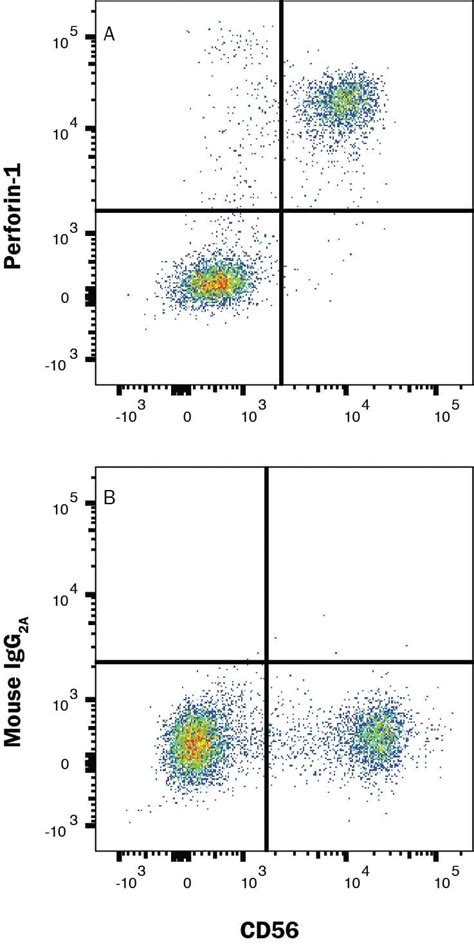 Perforin Antibody (1031751) [Unconjugated] (MAB103853): Novus Biologicals