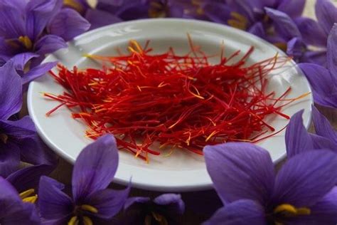 10 Amazing Benefits of Persian Saffron for Your Skin and Health - Hoyer ...