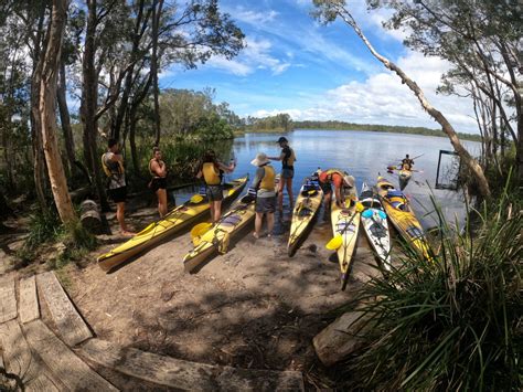 Reasons To Kayak The Noosa Everglades How To Do It Responsibly