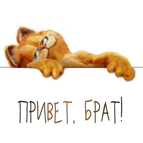 Открытки со словом привет