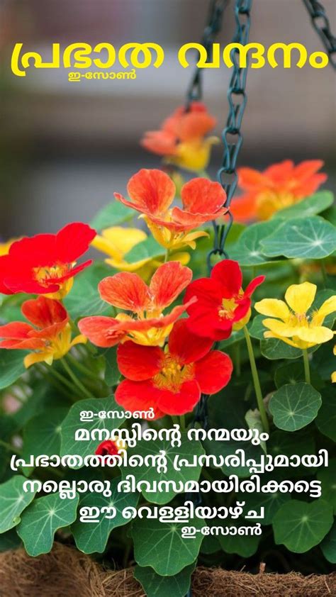 Pin On Good Morning Malayalam Good Morning Wishes Good Morning