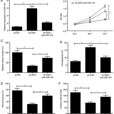 Inhibition Of Mir 144 Reverses The Effect On Proliferation Colony Download Scientific Diagram