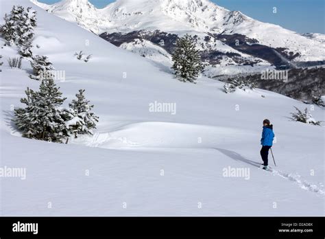 Female Dressed In Blue Snowshoeing At Beille Plateau French Pyrenees