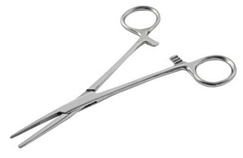 South Bend® Stainless Steel Forceps 1 Ct Kroger