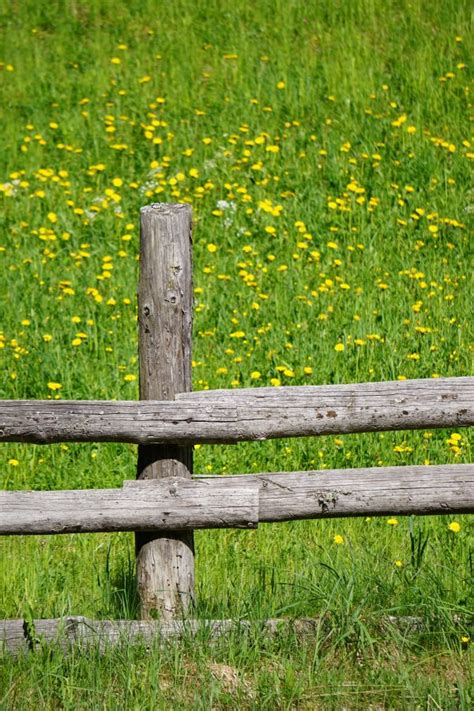 Free Images Landscape Nature Grass Trail Meadow Sunlight Gate