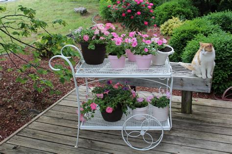 Olivia's Romantic Home: Shabby Chic Garden