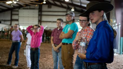 Ross County Fair Large Animal Showmanship Show