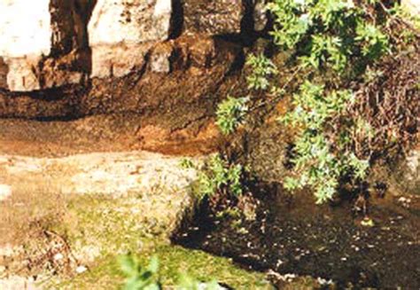 Mi Gran Canaria INAGUA LA ALDEA DE SAN NICOLÁS Y TEJEDA