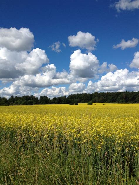 Free Images Landscape Nature Outdoor Horizon Cloud Growth Sky