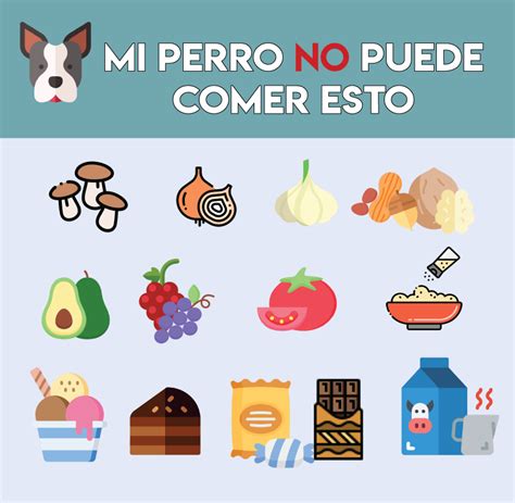 Alimentos Que Mi Perro No Puede Comer En 2020 Perros Alimentos