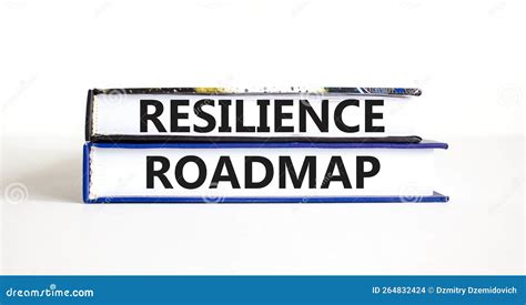 Resilience Roadmap Symbol Concept Word Resilience Roadmap Typed On