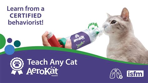 Teach Any Cat Aerokat Asthma Inhaler Training With A Certified