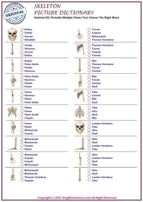 Skeleton Printable English Esl Vocabulary Worksheets Engworksheets