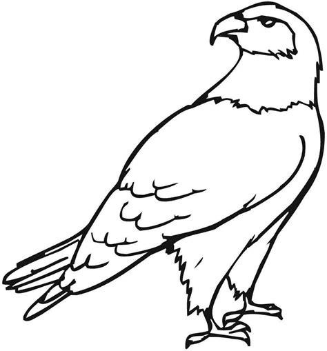 58+ Cartoon Eagle Coloring Pages | Fixed & Vegan