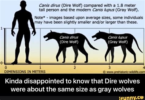 Dire Wolf Size Chart