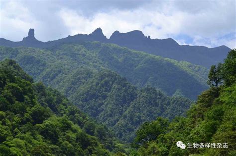 梵天净土山巍巍 钟灵毓秀水依依贵州梵净山国家级自然保护区管理局【官网】自然保护区梵净山景区梵净山自然保护区梵净山管理局管理局