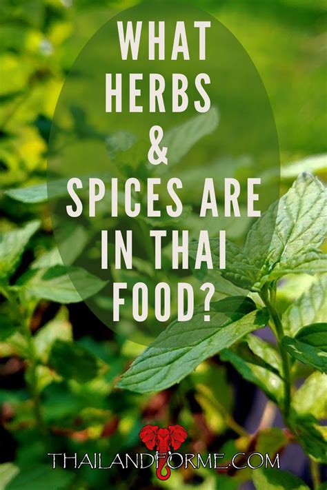 Thai Spices Artofit