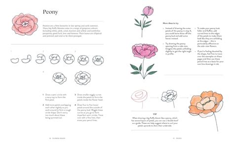 Amazon.com: The Mindful Magic of Flower Drawing: A step-by-step guide ...