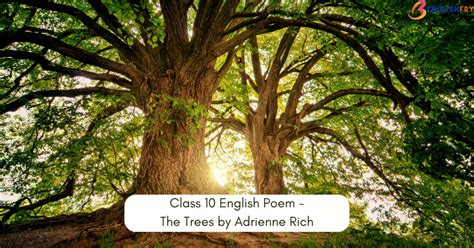 Class 10 English Poem The Trees By Adrienne Rich Englishfry