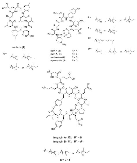 Microbiology Research Free Full Text Bacillus Metabolites