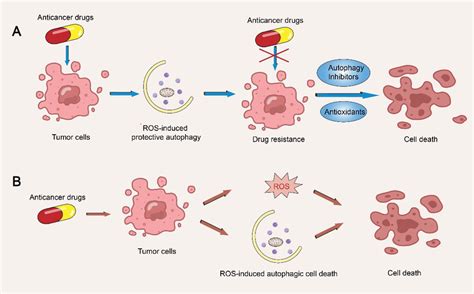 Two Anticancer Strategies Based On The Regulation Of Autophagy By ROS