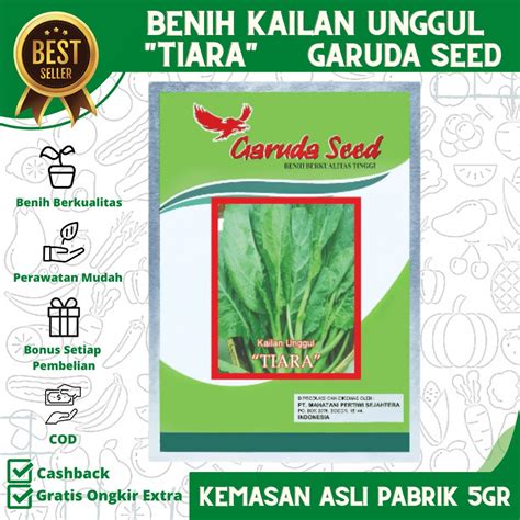 Jual Benih Bibit Kailan Unggul Tiara Garuda Seed 5 Gram Shopee Indonesia