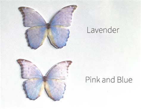 Shimmery Iridescent Lavender Edible Wafer Paper Butterflies — The