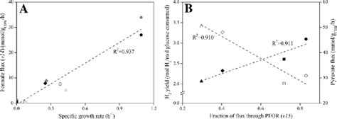 Correlation Between Distribution Of Fluxes At The Pyruvate Node And