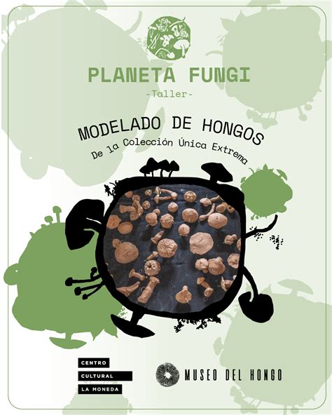 Planeta Fungi Cclm Museo Del Hongo