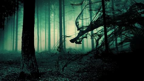 Scary Forest Wallpaper - WallpaperSafari