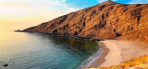 Descubre La Fauna Y Flora De La Reserva Nacional De Paracas Blog