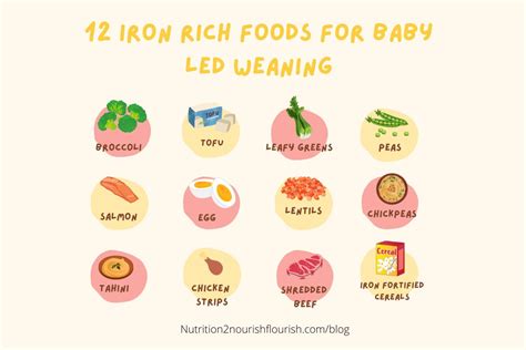 Top Super Iron Rich Foods For Baby Led Weaning Recipes