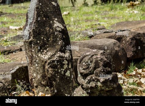 Stone Sculptures At Temehea Site Site De Temehea Temehea Tohua Site