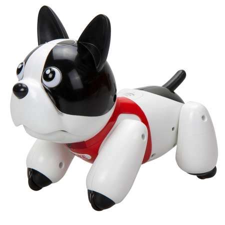 Игрушка YCOO собака робот Дюк купить по цене 7146 ₽ в интернет-магазине ...