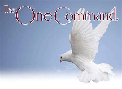 command asara lovejoy