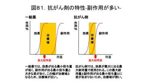 抗がん剤の量を患者と相談して決める がんゲノム医療・免疫治療 銀座みやこクリニック院長ブログ