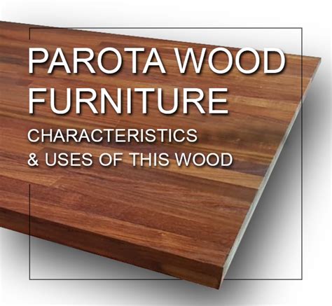 Parota Wood Furniture Characteristics And Uses Of This Wood Parotas